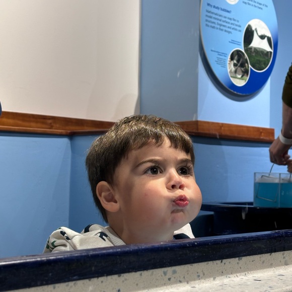 Meet your Posher, Danielle - Picture 15 of 16